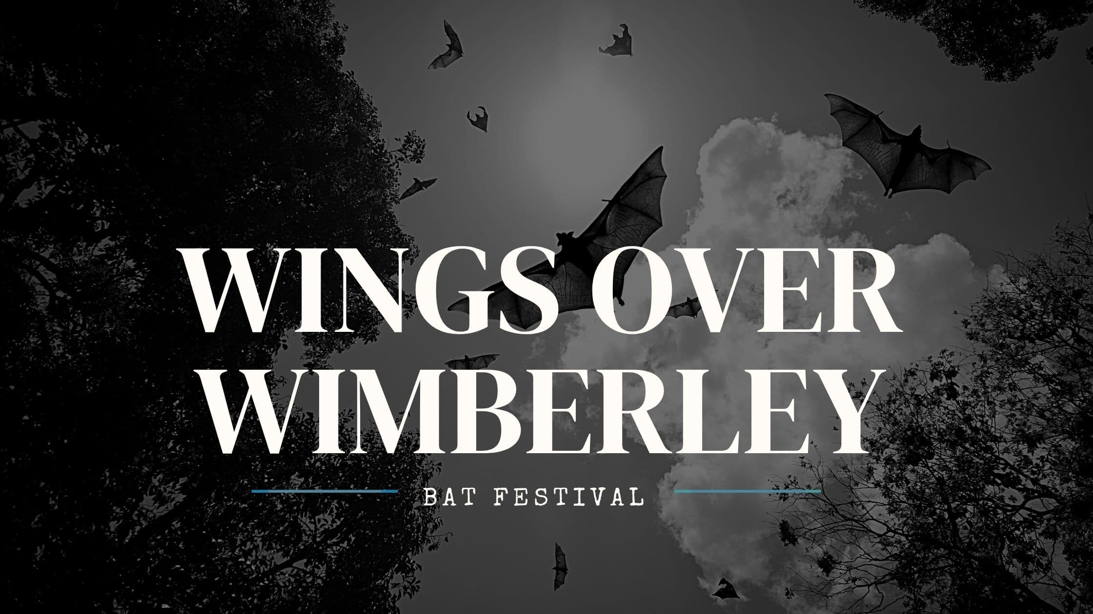 Wings Over Wimberley Bat Festival