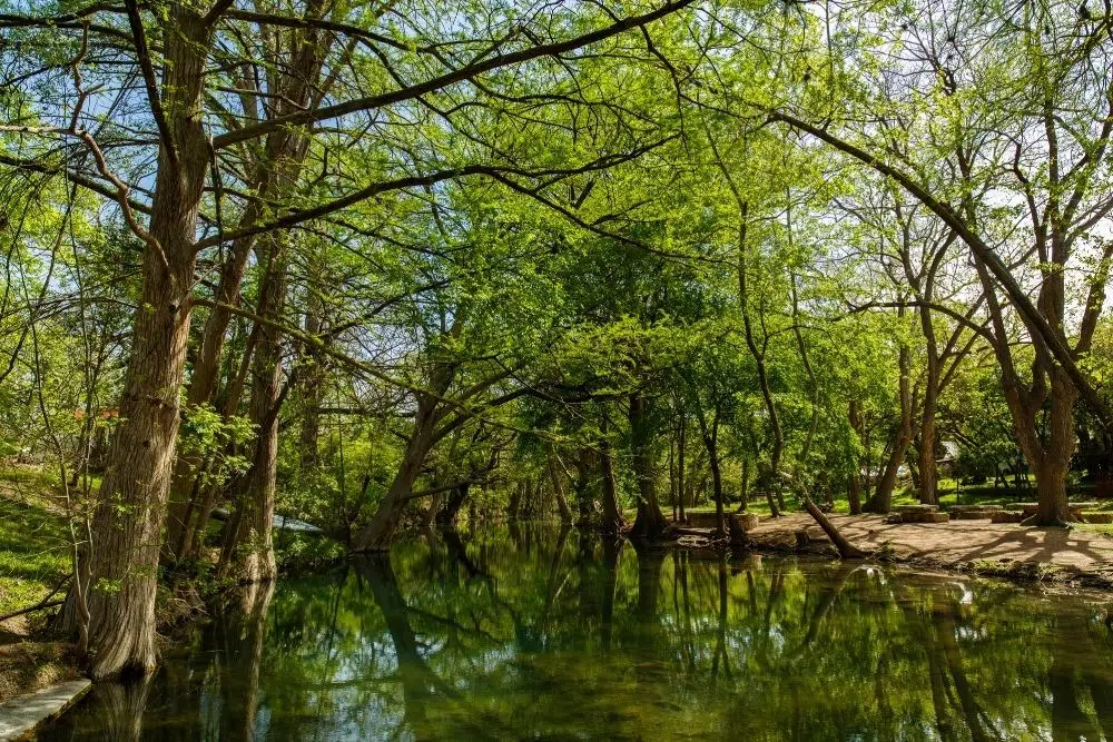 Blue Hole Regional Park Wimberley