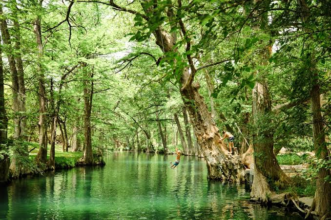 Accessible Luxury Glamping Texas: 10 Best Stays 2026 25 Blue Hole Regional Park