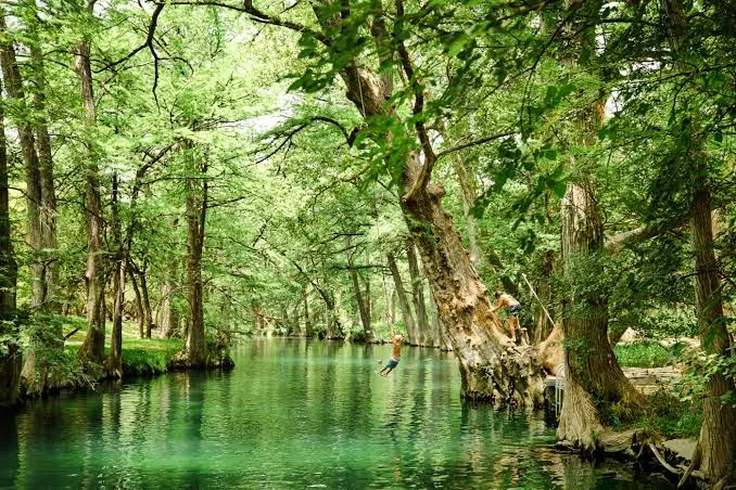 Accessible Luxury Glamping Texas: 10 Best Stays 2026 25 Blue Hole Regional Park