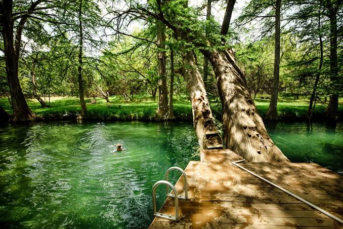 14 Romantic Things to Do in Wimberley, TX (Owner's Guide) 4 Blue Hole Regional Park: Iconic Wimberley Swimming Hole